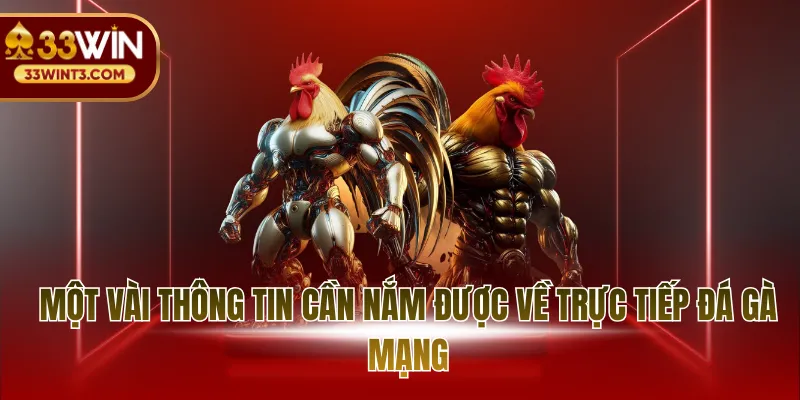 Trực Tiếp Đá Gà Mạng - Sức Nóng Từ Đấu Trường Đẳng Cấp 2 Một vài thông tin cần nắm được về trực tiếp đá gà mạng